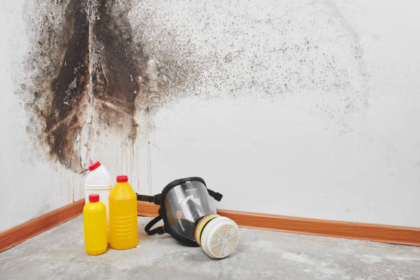 Best Crawl Space Mold Removal  in Leisuretowne, NJ
