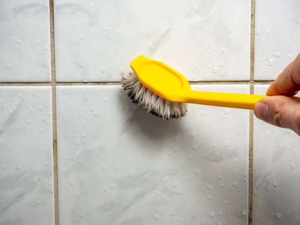 Best Mold Removal and Inspection  in Leisuretowne, NJ