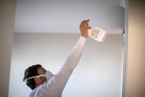Best Attic Mold Removal  in Leisuretowne, NJ