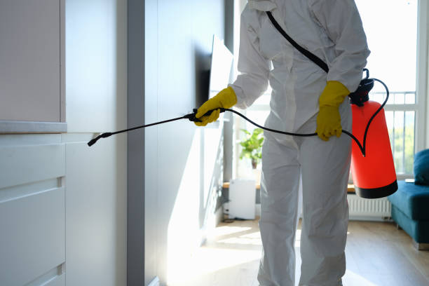 Best Mold Cleaning Services  in Leisuretowne, NJ