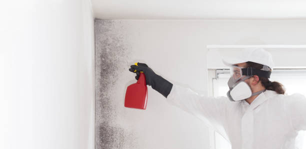 Best Residential Mold Removal  in Leisuretowne, NJ