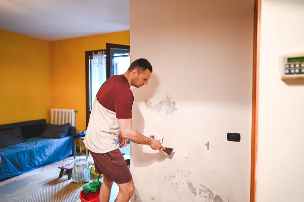 Best Mold Removal Near Me  in Leisuretowne, NJ