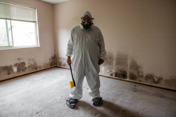 Mold Testing and Removal in Leisuretowne, NJ